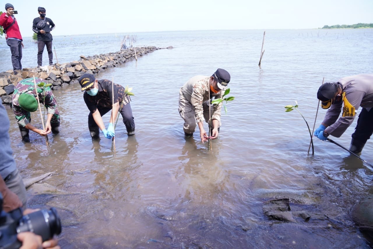 0667efcf-dd29-4abb-bda9-7f0ab7991e2a