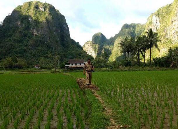 PHOTO-2020-08-02-21-57-34